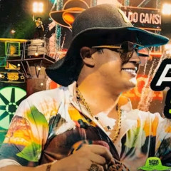 Me Apaixonei Nessa Morena